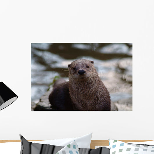 Otter Wall Mural