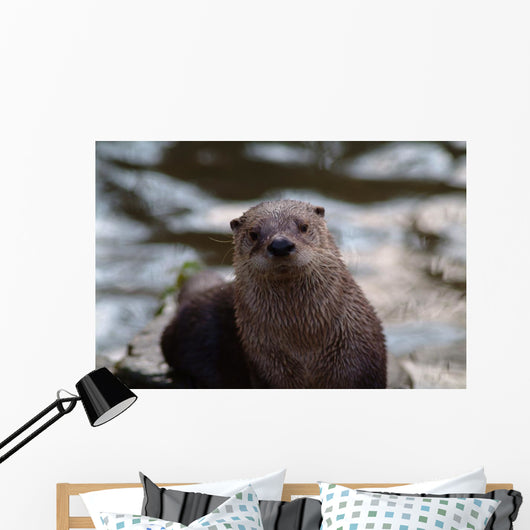 Otter Wall Mural
