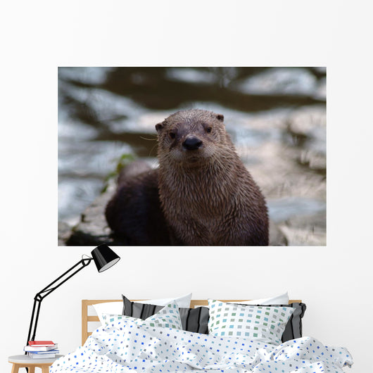 Otter Wall Mural