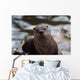 Otter Wall Mural