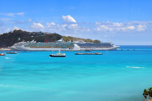 Port in Saint Martin Wall Mural