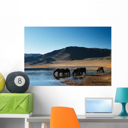 Drinking Horses Wall Decal