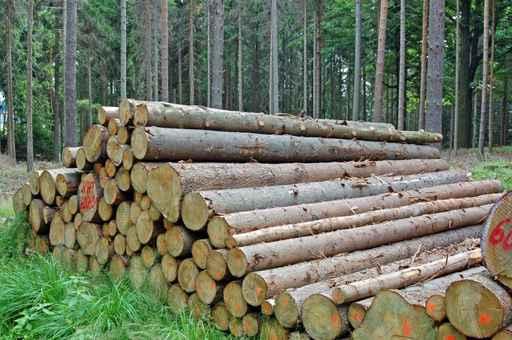 Stacked Logs Forest Wall Decal
