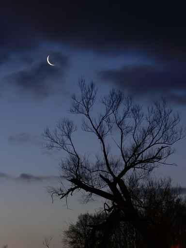 Night Wall Decal