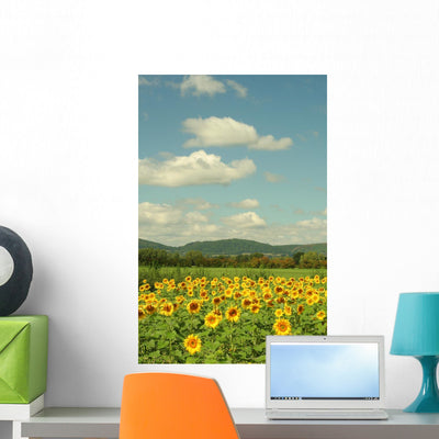 Sun Flower Field Wall Mural shown on a wall