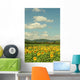 Sun Flower Field Wall Mural