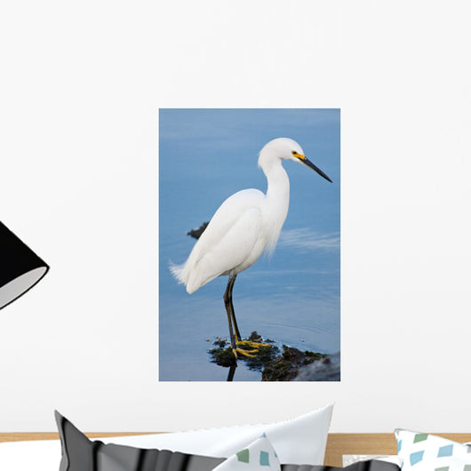 Silver Heron Ardea Alba Wall Mural