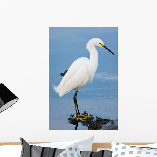 Silver Heron Ardea Alba Wall Mural