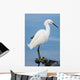 Silver Heron Ardea Alba Wall Mural