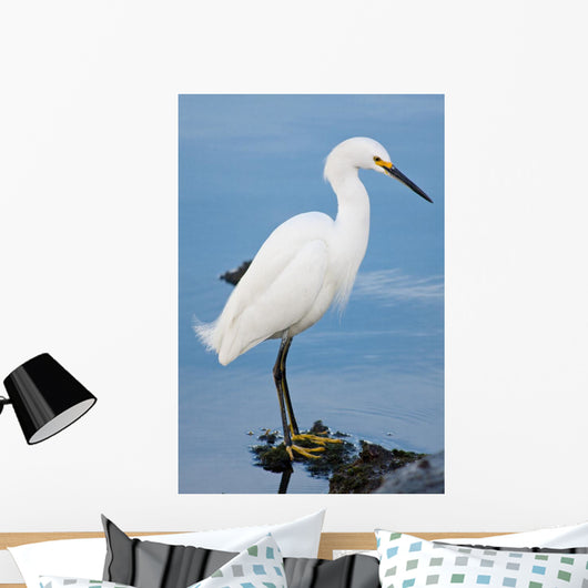 Silver Heron Ardea Alba Wall Mural