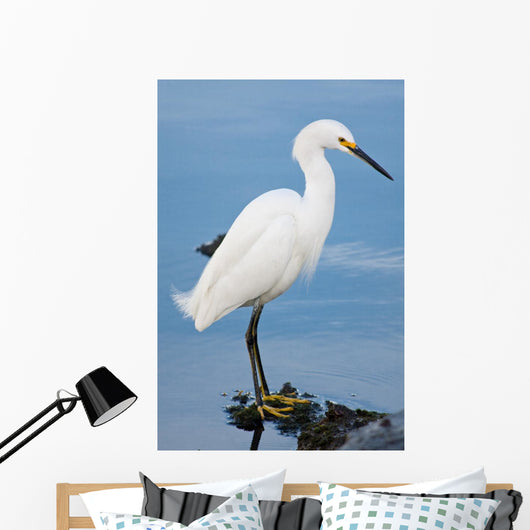 Silver Heron Ardea Alba Wall Mural