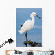 Silver Heron Ardea Alba Wall Mural