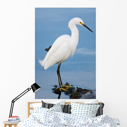 Silver Heron Ardea Alba Wall Mural
