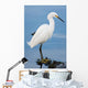 Silver Heron Ardea Alba Wall Mural
