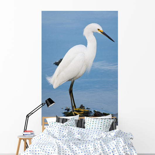 Silver Heron Ardea Alba Wall Mural