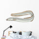 fish eel Wall Decal