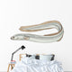 fish eel Wall Decal
