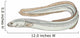 fish eel Wall Decal