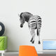 Zoo Single Burchell Zebra