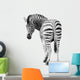 Zoo Single Burchell Zebra