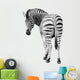 Zoo Single Burchell Zebra