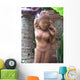 Buddhist lady statue, Thailand. Wall Mural