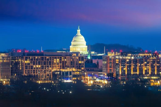 Washington Dc City Skyline Wall Decal
