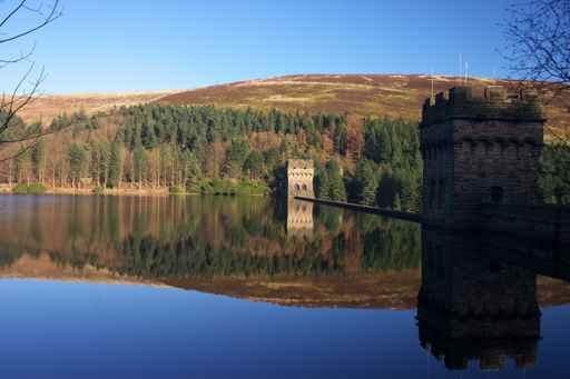 Ladybower Wall Decal