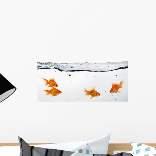 Group Goldfish