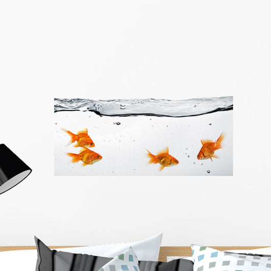 Group Goldfish