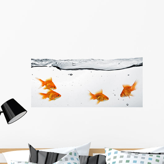 Group Goldfish