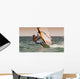A Man Windsurfing Wall Mural