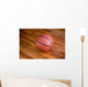 Basketball Wall Mural