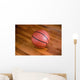 Basketball Wall Mural