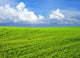 Landscape Wall Mural