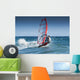 Windsurfing Off The Coast At Hotel Dos Mares Wall Mural