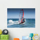 Windsurfing Off The Coast At Hotel Dos Mares Wall Mural
