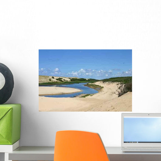 Landes Moliets Current D Wall Decal