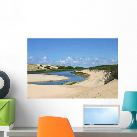 Landes Moliets Current D Wall Decal