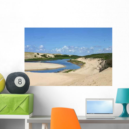 Landes Moliets Current D Wall Decal
