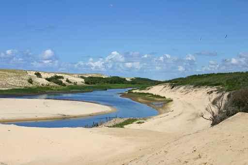 Landes Moliets Current D Wall Decal