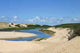 Landes Moliets Current D Wall Decal