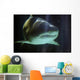 Hai Wall Mural
