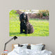 Cocker Spaniel Wall Mural