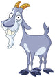 Smiley Billy Goat