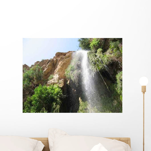 Cascade D'eau En Israel Wall Decal