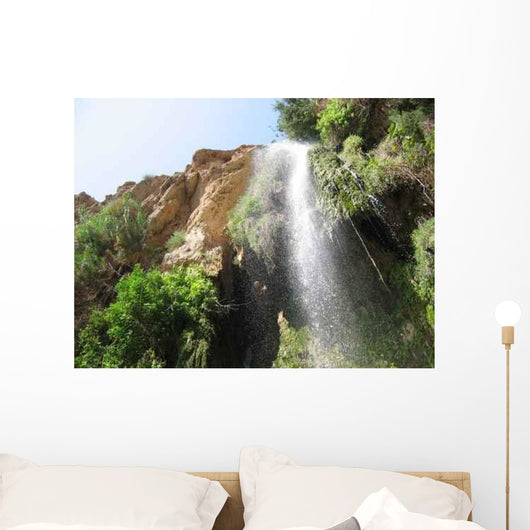 Cascade D'eau En Israel Wall Decal