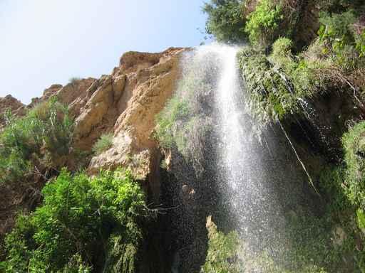 Cascade D'eau En Israel Wall Decal