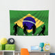 Soccer for Soccer World Cup Team Brazil Wall Mural