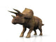 Le Triceratops Wall Decal